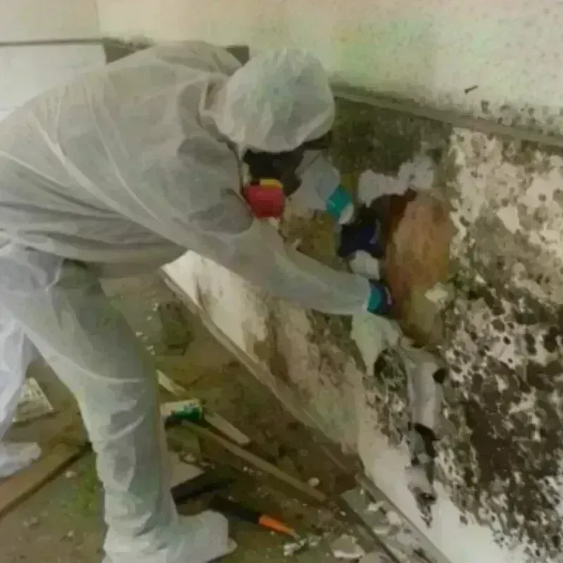 Mold Remediation and Removal in Waltham, MA